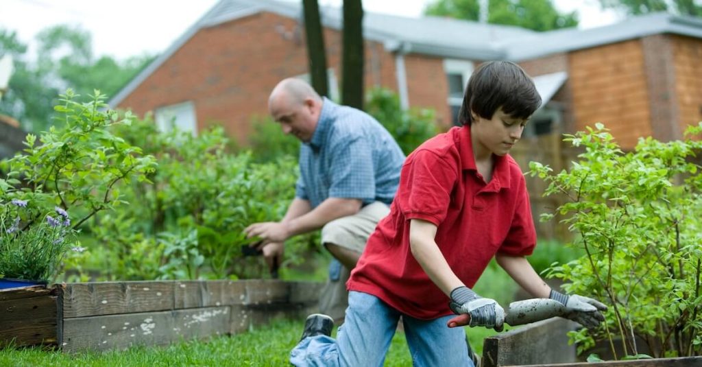 Leer een nieuwe vaardigheid of blaas een oude hobby nieuw leven in
